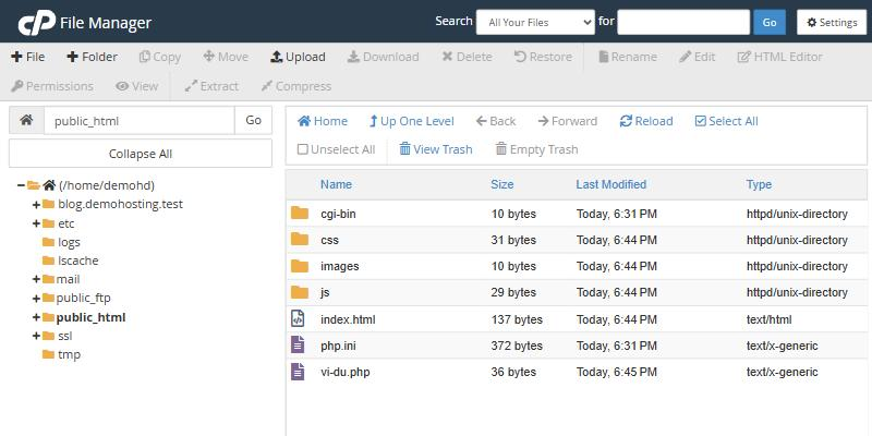 Giao diện File Manager đang mở thư mục public_html